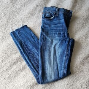 Hudson Jeans Women's Skinny Denim Size 27 Some Wear
